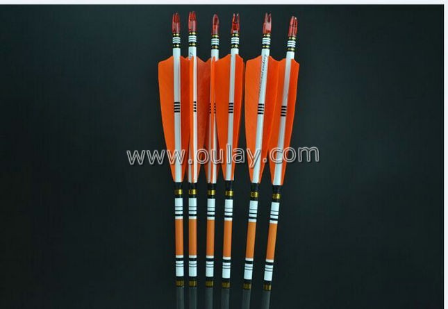 orange cresting arrows