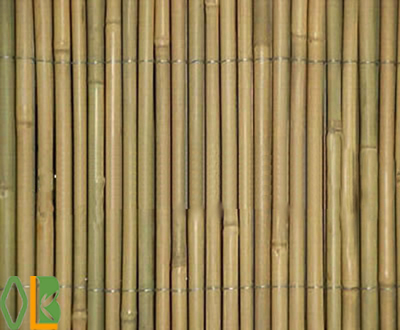 cheap and straight nature bamboo fence