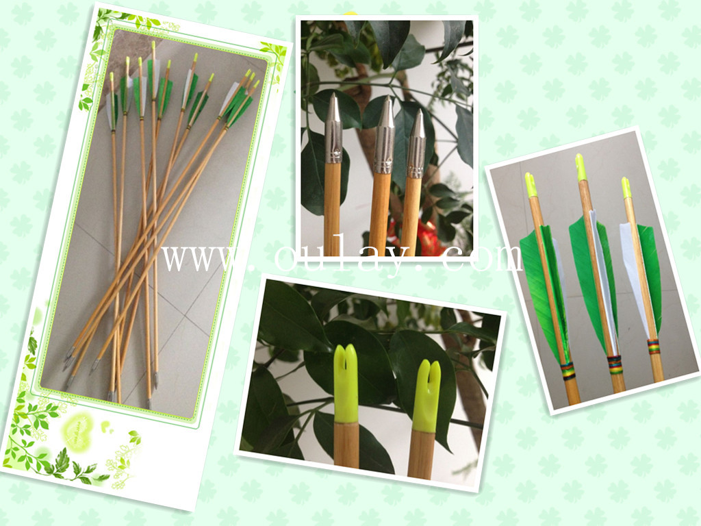 wood arrow of turkey feather