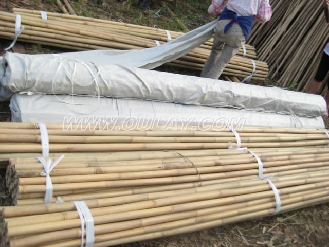 Bamboo canes in packing