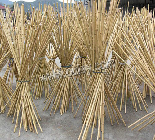 tonkin bamboo poles