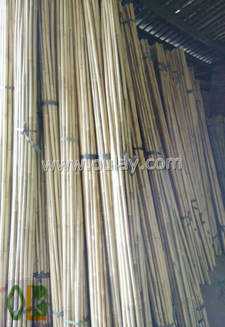 raw wholesale bamboo canes for sale