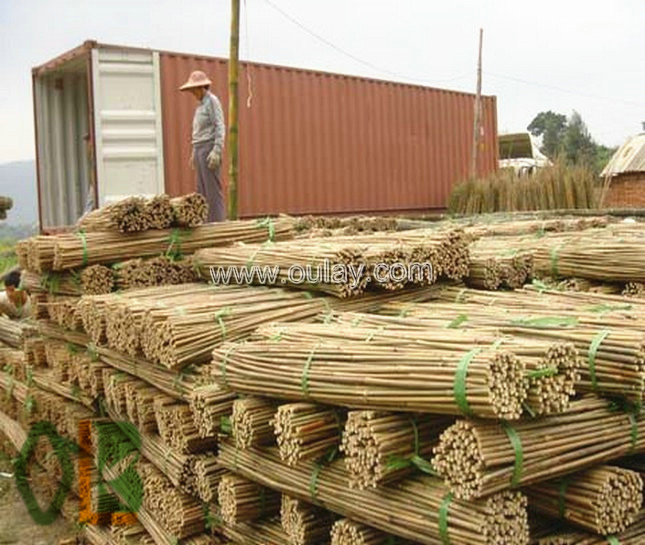 full container dry bamboo poles