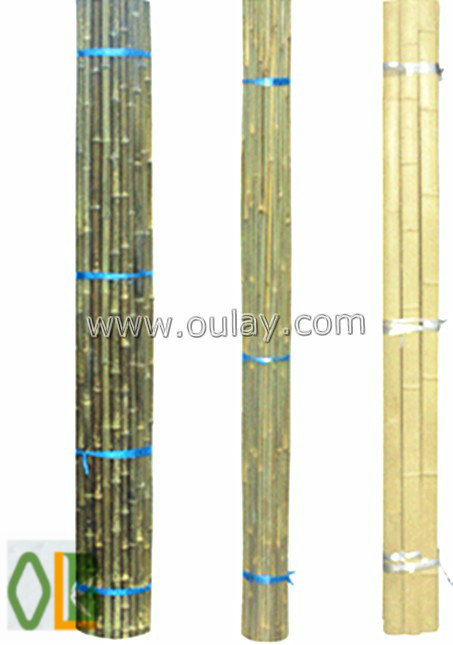 Tonkin well-dry bamboo