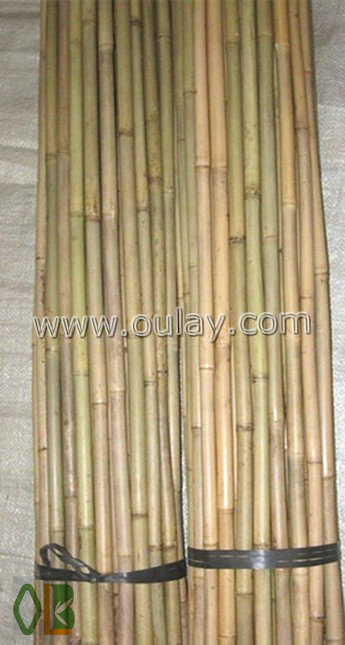 Natural raw tonkin bamboo cane