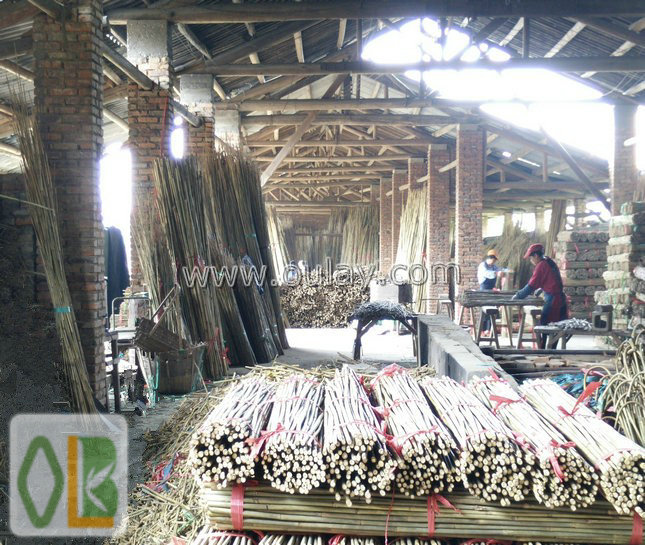 producing bamboo poles