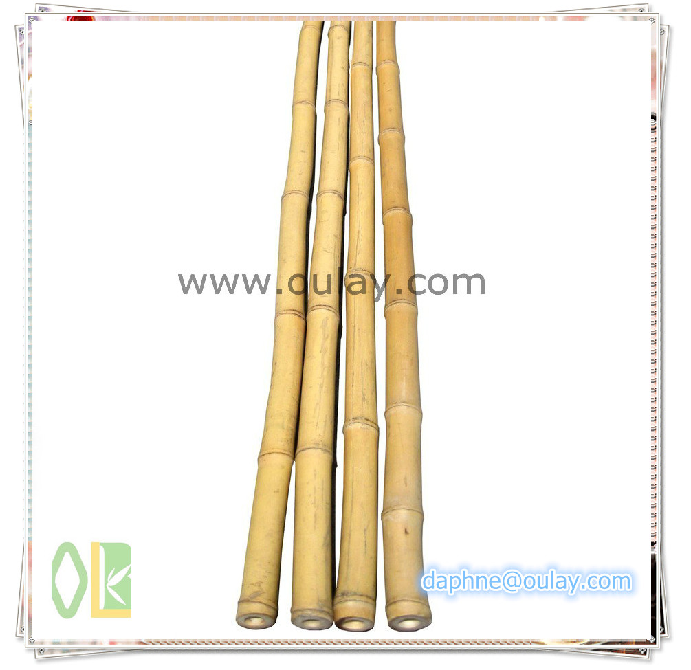 backyard scape in bamboo poles wholesale ,bamboo cane