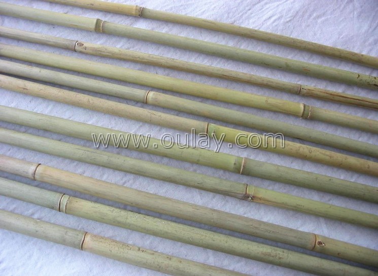 bamboo raw material