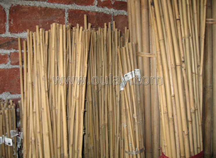 bamboo stakes