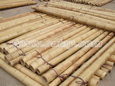 Big bamboo poles