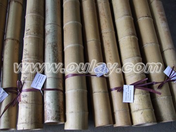 Big bamboo poles