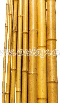 Big bamboo poles