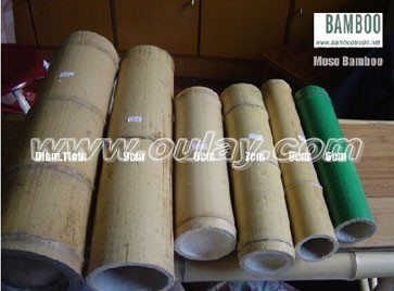 Moso bamboo poles