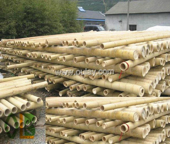 moso bamboo poles