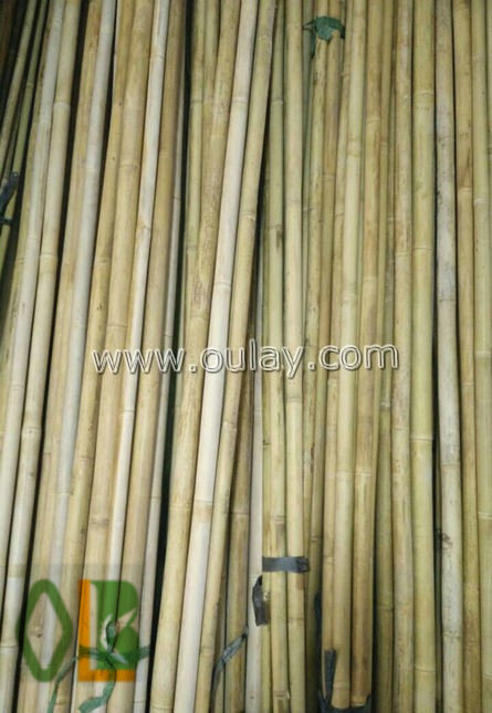 45~55mm moso bamboo
