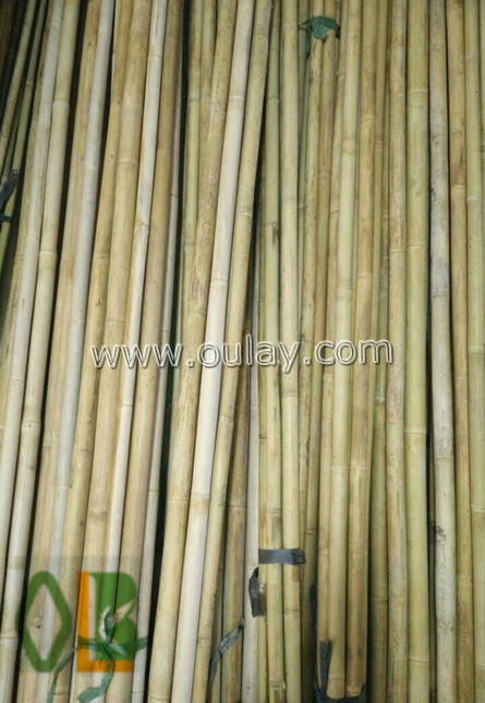 45~55mm moso bamboo