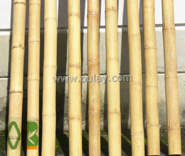 big bamboo material