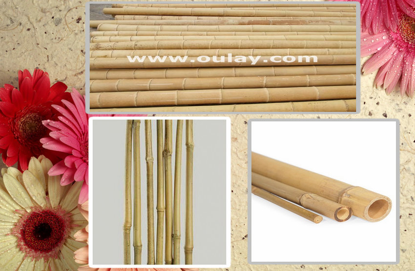 large bamboo for sale