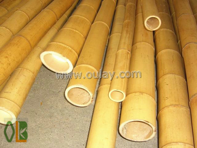 moso bamboo for builduings