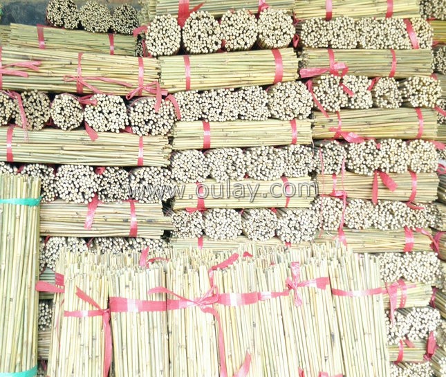 yellow bamboo sticks