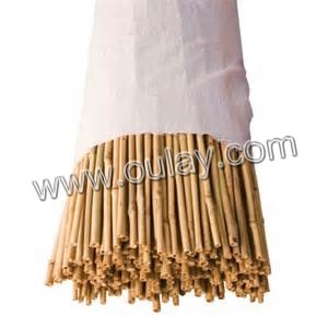 top quality bamboo canes