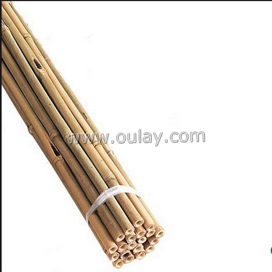 bamboo sticks for planting