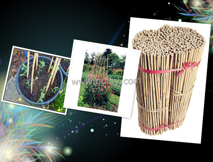 bamboo garden stakes