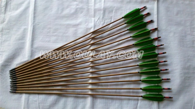 Bamboo arrows