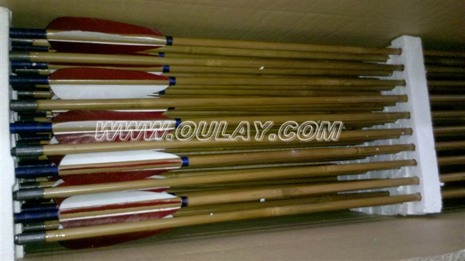 Bamboo arrows