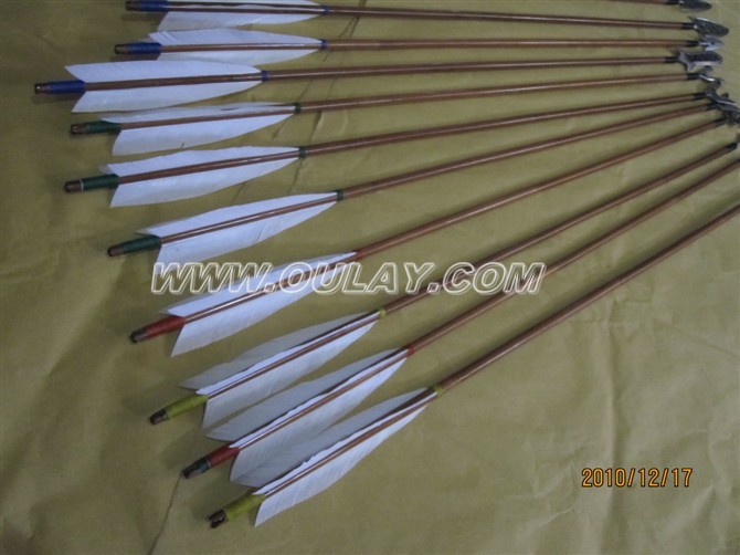 Bamboo arrows