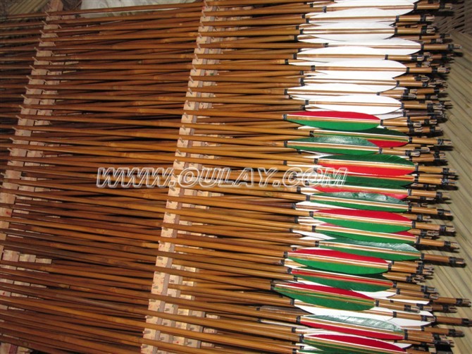 Bamboo arrows