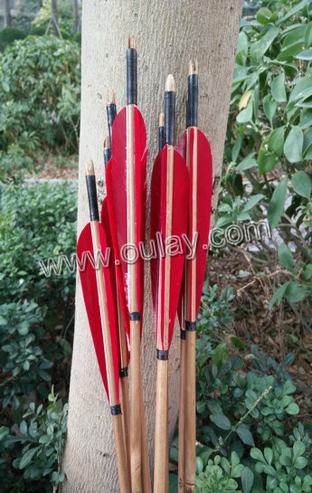 Bamboo arrows