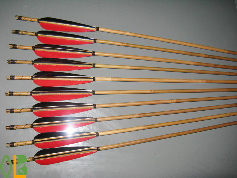 bamboo shooting arrows