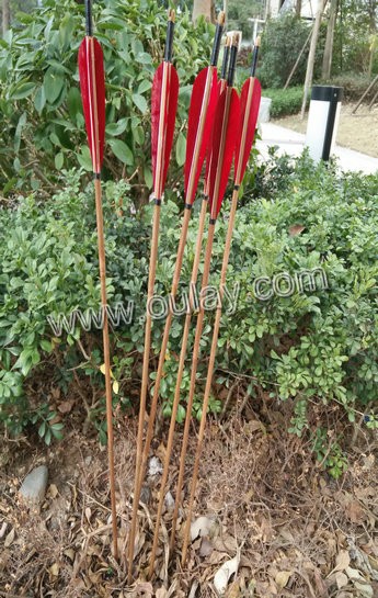 bamboo archery arrows