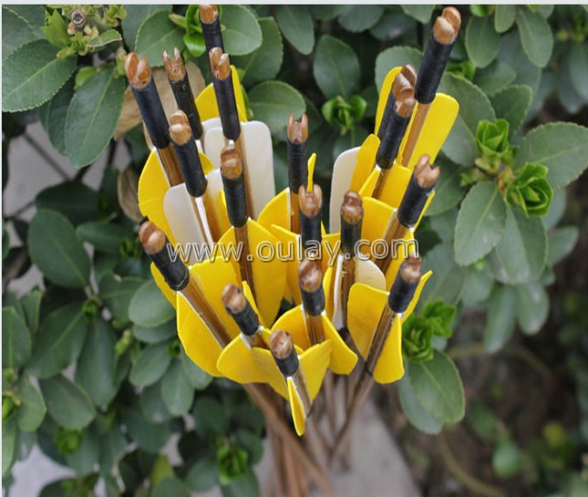 complete bamboo arrows