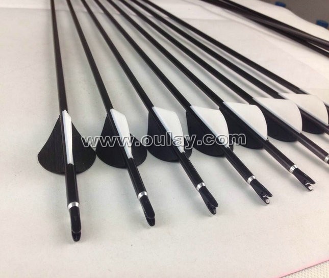 340sp pure carbon arrows