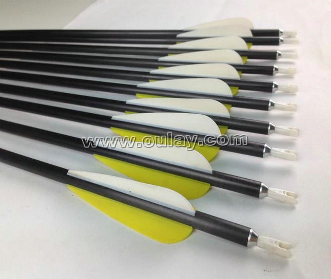 carbon arrows