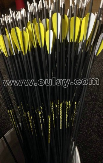 carbon arrow wholesale