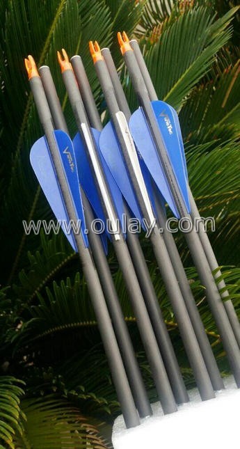 carbon arrows