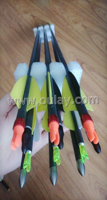 pure carbon arrows with plastic vanes