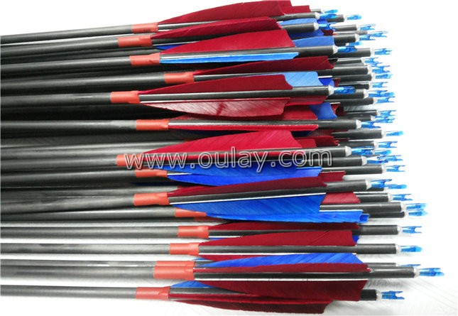 31inch pure carbon arrows