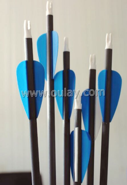 carbon arrows with 2 inch rubber vanes