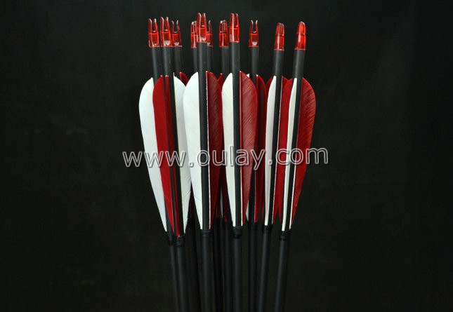 carbon arrows with plastic nocks