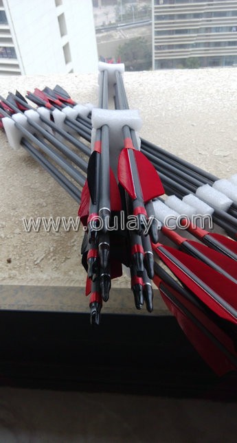 carbon arrows