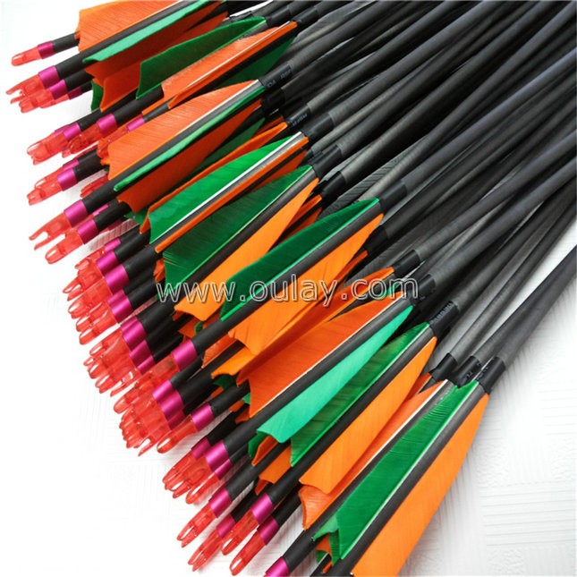 complete carbon arrows