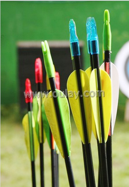 carbon arrows with rubber vanes