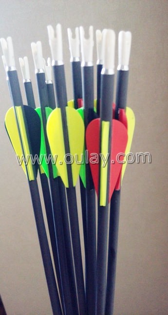 AEE vanes bowhunting carbon arrows