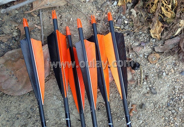 carbon archery arrows