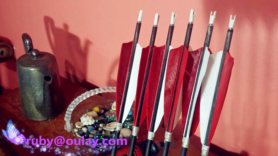Oulay carbon archery arrows wholesale