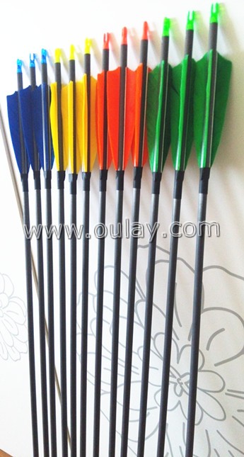 carbon arrows